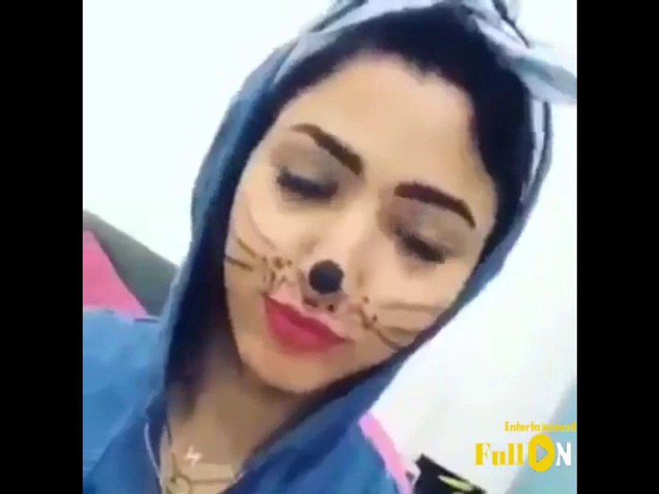 Bebo Cat Style - Baba Mix