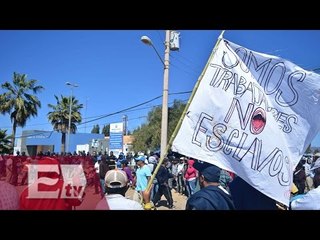 Jornaleros de San Quintín exigen al presidente el pago de sus salarios / Vianey Esquinca