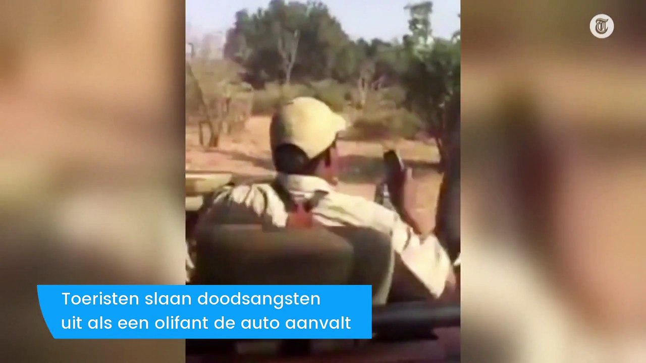 Boze olifant valt jeep met toeristen aan