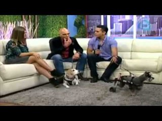 Manuel Landeta y su amor por los perros