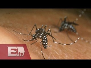 Sigue la alerta en Edomex por Chikungunya / Vianey Esquinca