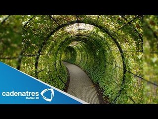 Jardín del Veneno, alberga a las plantas más mortíferas del planeta