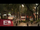 Intensa lluvia en el DF dejó árboles caídos  / Vianey Esquinca