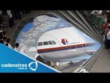 Avión malasio desaparecido deja búsqueda millonaria / Vuelo MH370: la búsqueda millonaria