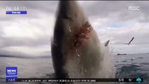 [투데이 영상] 카메라 놓칠 뻔!…눈앞에 나타난 상어의 입