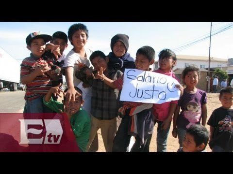 Jornaleros de San Quintín buscan mejoras salariales / Vianey Esquinca