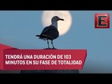 Eclipse lunar de este 27 de julio no podrá verse en México