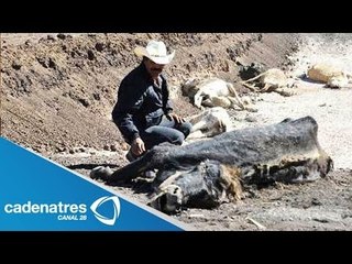 Habitantes de Guanajuato sufren escasez de agua