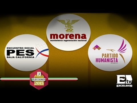 Nuevos partidos políticos participan en las elecciones / Elecciones 2015