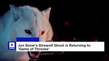 Jon Snow's Direwolf Ghost is Returning to 'Game of Thrones'