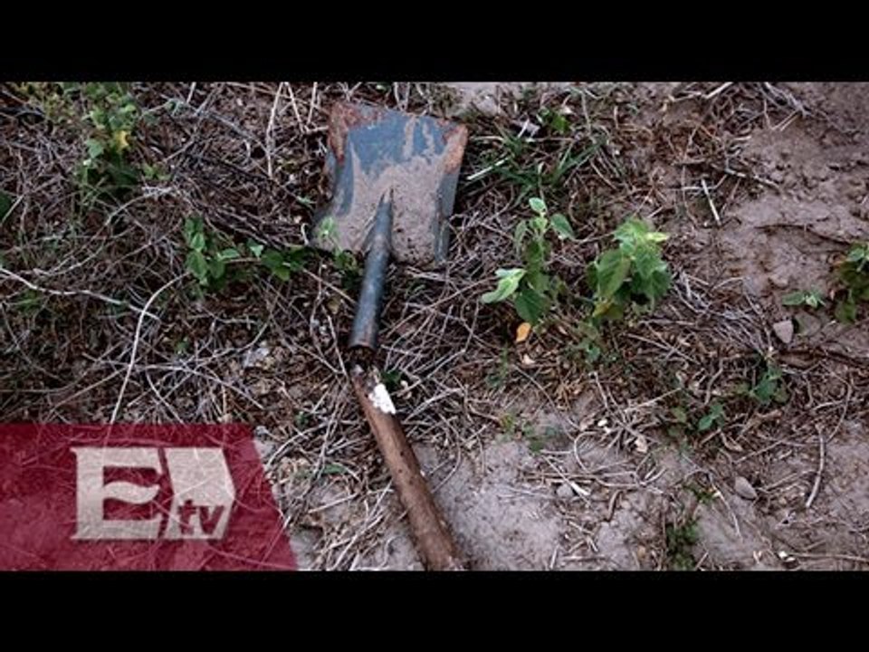 Hallan cinco cuerpos en fosas clandestinas en BCS / Vianey Esquinca