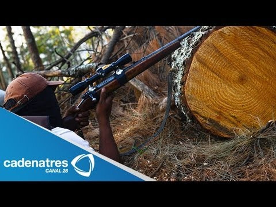 Detalles del desarme de los grupos de autodefensa de Michoacán / Details of disarming self defense