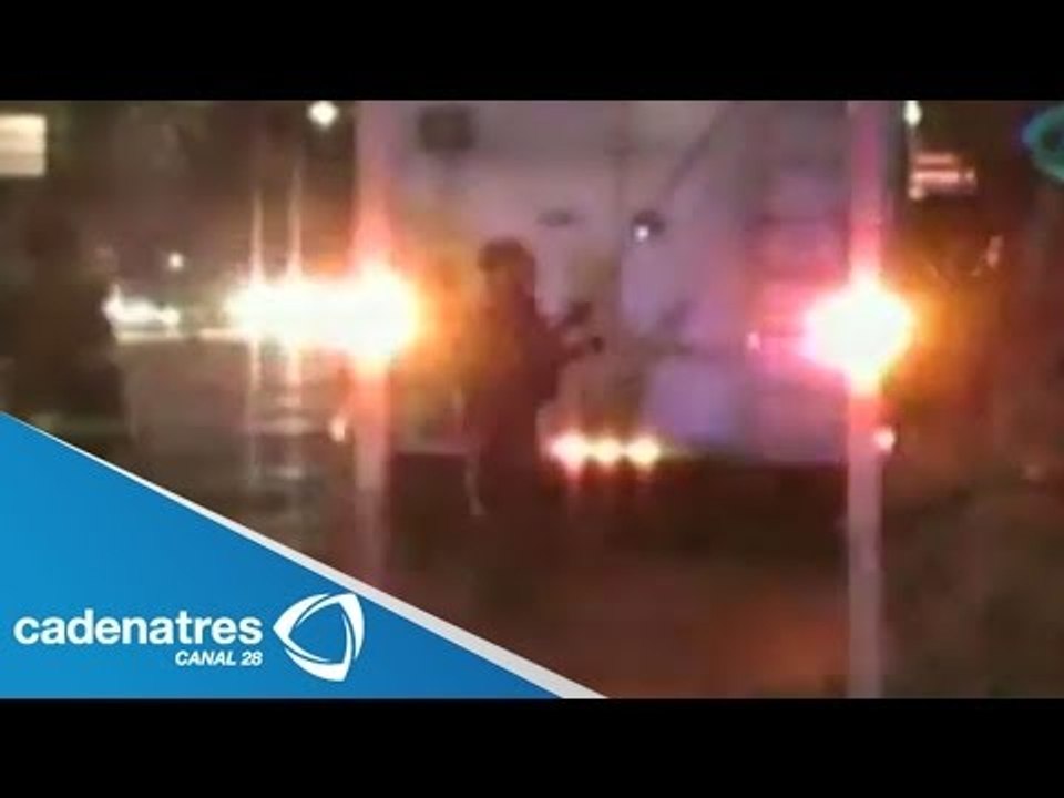 Rama de ocho metros cae sobre Paseo de la Reforma /Eight meters Rama falls on Paseo de la Reforma