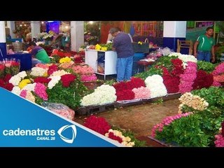 Costo de las rosas para el día de las madres // Cost of roses for mothers day