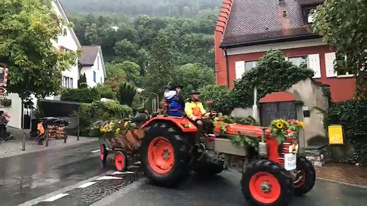 Die Sömmerung ist zu Ende - Alpabfahrt der Alp Pradamee in Vaduz. 