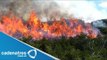 Incendios consumen 65 hectáreas de vegetación en Oaxaca / Fire consumed 65 acres in Oaxaca