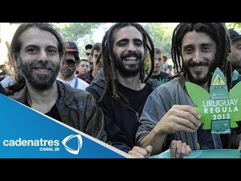 Uruguay acepta legalizar la marihuana / Uruguay accepts legalize marijuana