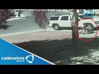 INCREÍBLE!!! Gato salva a un niño al ser atacado por un perro