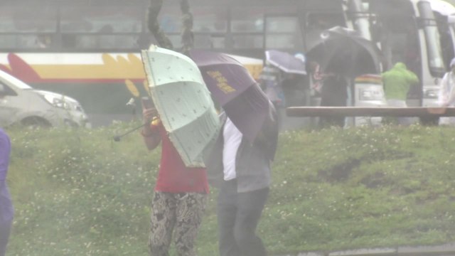 [날씨] 태풍 비바람 강해져...내일까지 500mm 폭우 / YTN