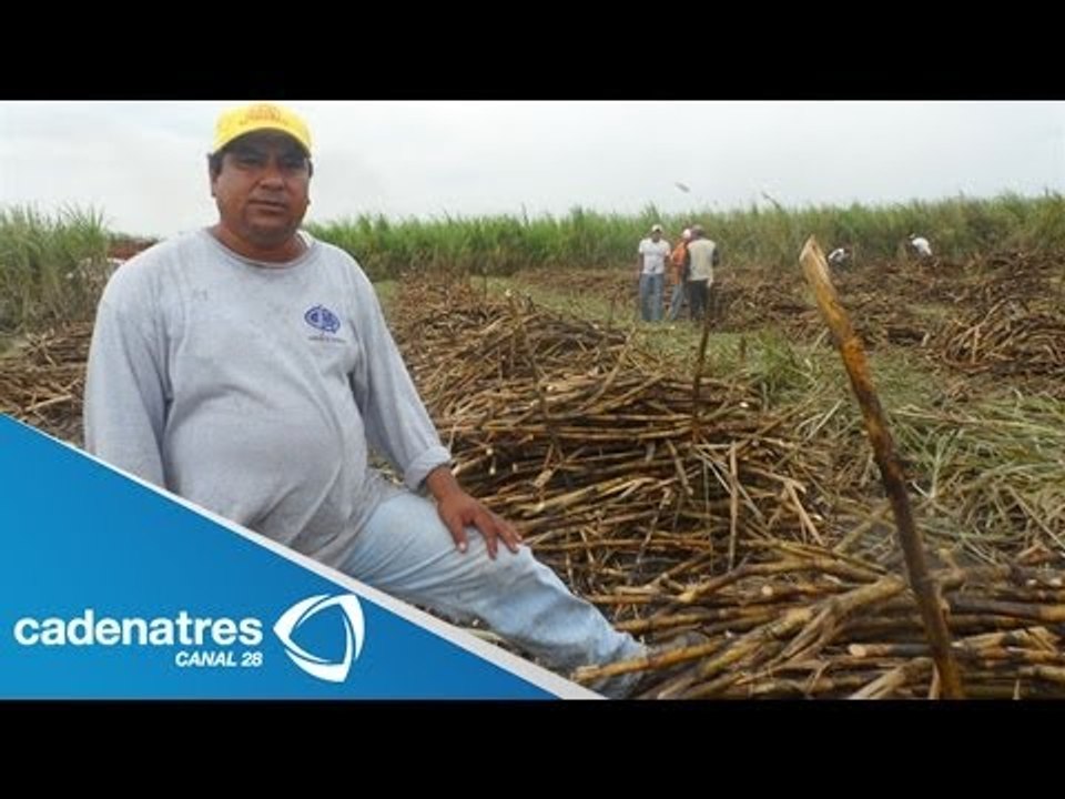 Anuncia Sagarpa 930 mdp para proyectos productivos / Finanzas