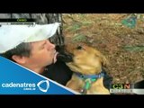 Hombre recorre Estados Unidos para salvar a perros y buscarles un hogar