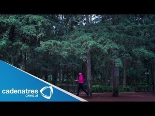 Policías capitalinos vigilarán el bosque de Tlalpan por inseguridad