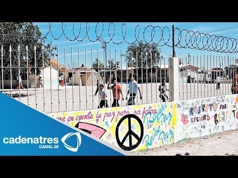 Alumnos y docentes víctimas de bullying porque su escuela se llama Elba Esther Gordillo
