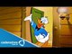 Pato Donald cumple 80 años / Aniversario del Pato Donald Pato / Donald Duck's 80th birthday