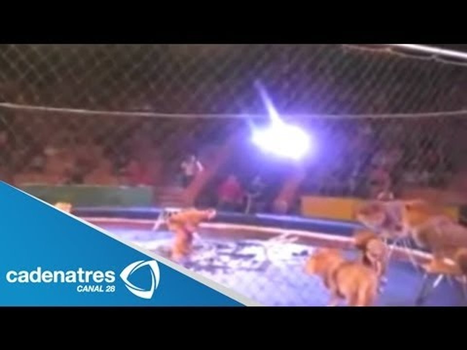 León ataca a domador de circo en Ucrania / Lion attacks tamer in Ukraine