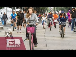 Diputados analizan incluir materias de ciclismo / Vianey Esquinca