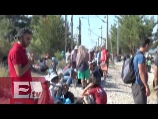 Miseria y tragedia, el negocio de los vendedores ambulantes en Serbia  / Titulares de la tarde