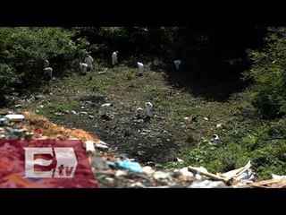 “Quema de normalistas en Cocula es imposible” , CIDH / Titulares de la Noche