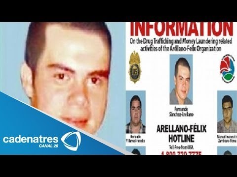Detalles de la capturan del 'ingeniero', líder de los Arellano Félix / Cae 'El Ingeniero'