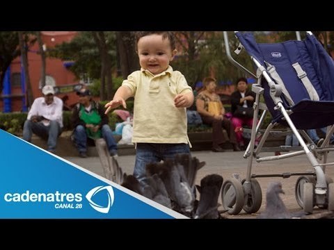 Contaminación afecta pulmones de los niños / Pollution affects lungs of children