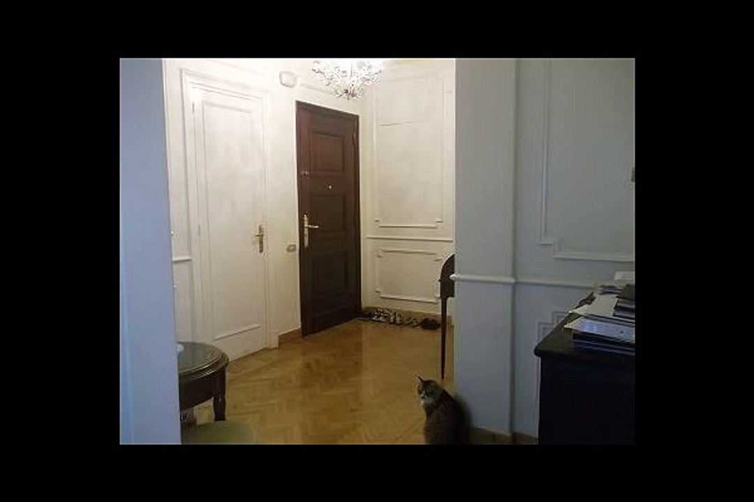 شقة للايجار بالزمالك تطل على النيل