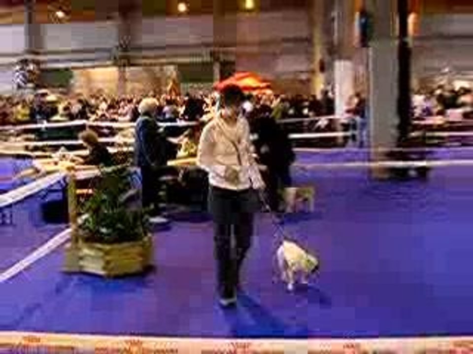 exposition colmar 2006