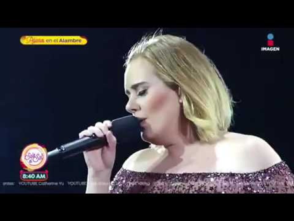 Adele ya no quiere hacer giras