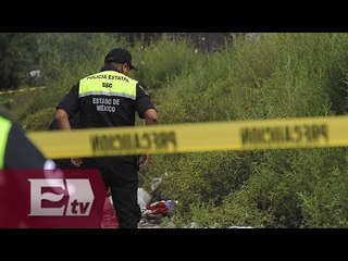Homicidios en México, turismo en Barcelona y santuario de animales/Bucareli 1, la dirección correcta