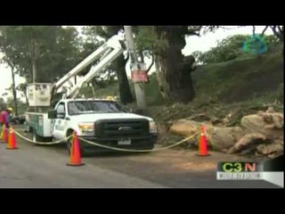 Cae árbol sobre taxi y deja 2 heridos en Calzada de las armas, Naucalpan