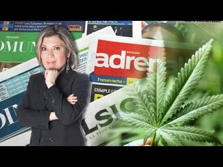 El PAN, la marihuana y la carne procesada / Duro y a las cabezas