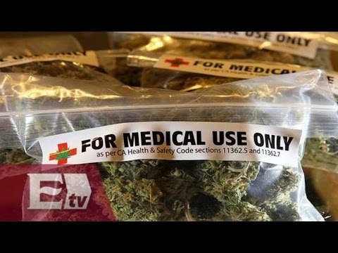 Senadora presenta iniciativa para el uso medicinal de la marihuana / Paola Virrueta