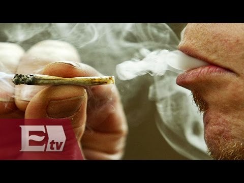 PRD presenta iniciativa para regular uso recreativo de mariguana / Kimberly Armengol