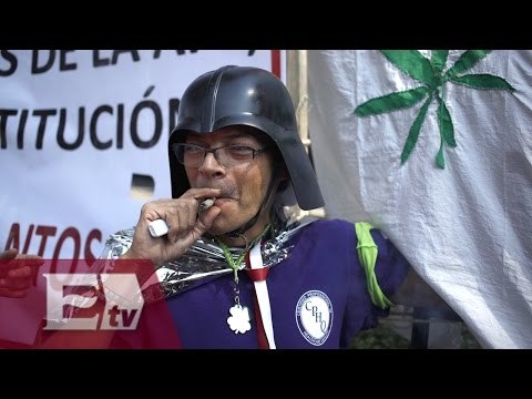 La legalización de la marihuana divide a mexicanos/ Vianey Esquinca