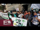 Iniciativa para permitir uso medicinal de la mariguana / Martín Espinosa