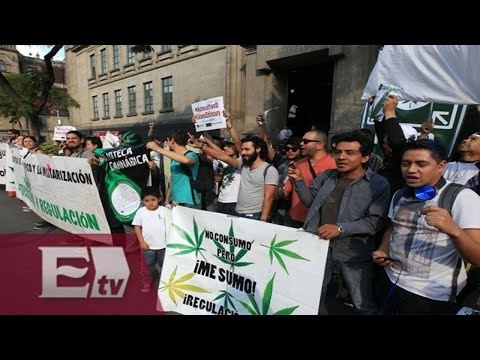 Iniciativa para permitir uso medicinal de la mariguana / Martín Espinosa