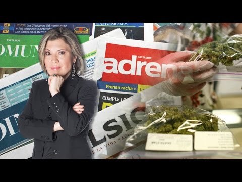 La narcopolítica y la legalización de la marihuana/ Ivonne Melgar