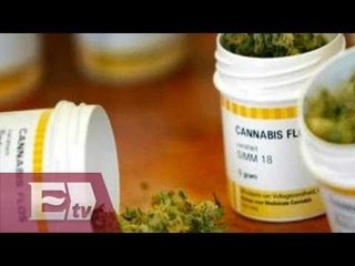 Presentan en el Senado iniciativa para uso medicinal de mariguana / Pascal Beltrán