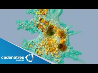 Centro de Investigación en Óptica en Guanajuato enseña ciencias a través de juegos