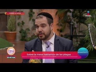 ¿Las Plagas de Egipto ocurrieron en realidad? | Sale el Sol