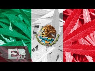 Aprueban uso recreativo de marihuana / Ricardo Salas